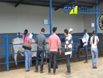 15º Curso de Manejo Nutricional de Gado de Corte (Alimentos e Alimentação) - 27/01/2014