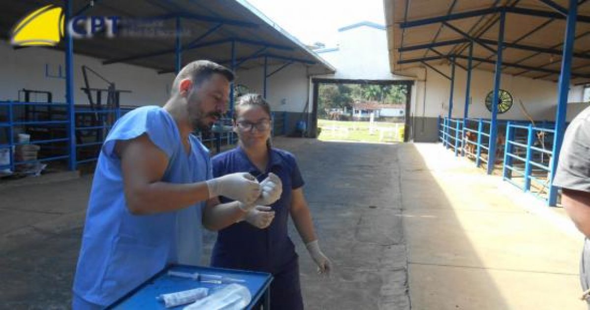 16º Curso de Exame Clínico Avançado em Bovinos 28-05-18