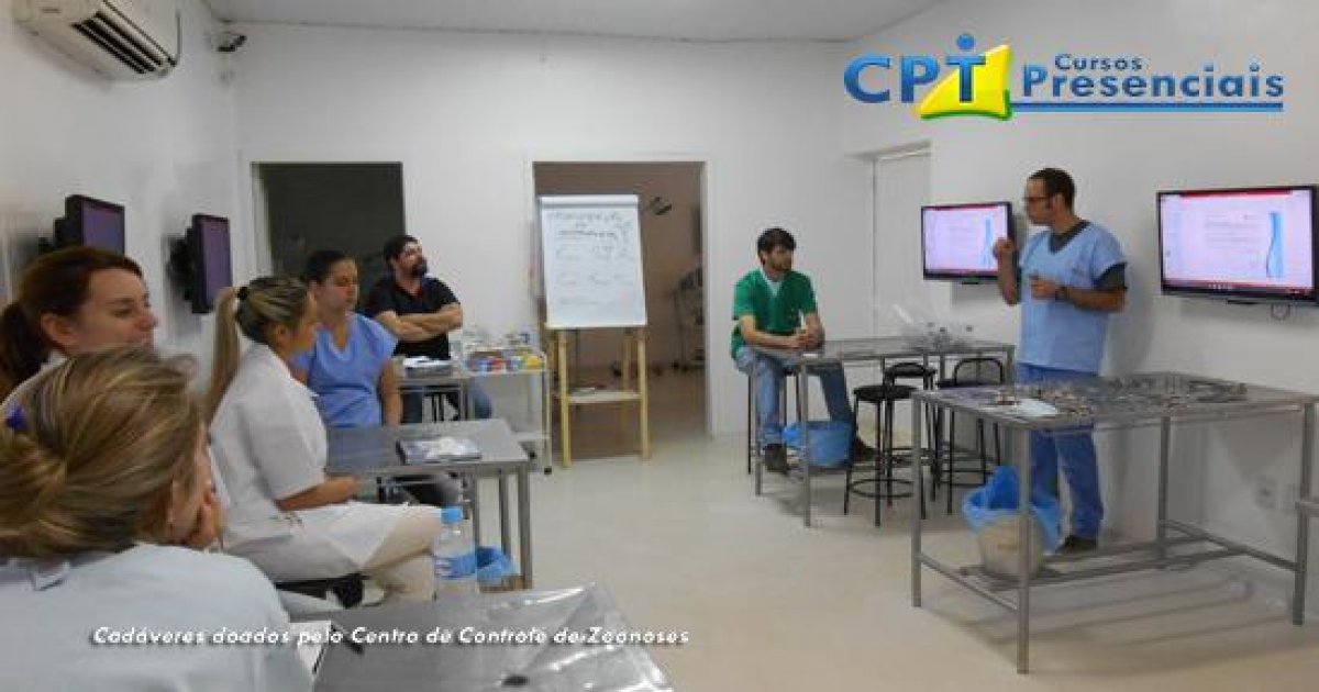 17º Curso de Cirurgias de Urgência em Pequenos Animais 17-08-16