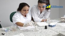 17º Curso de Realização e Interpretação dos Principais Exames Laboratoriais em Pequenos Animais 20-11-15