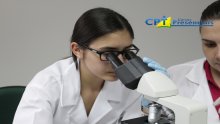 18º curso de Interpretação e Realização de Exames Laboratoriais em Pequenos Animais 12-01-16