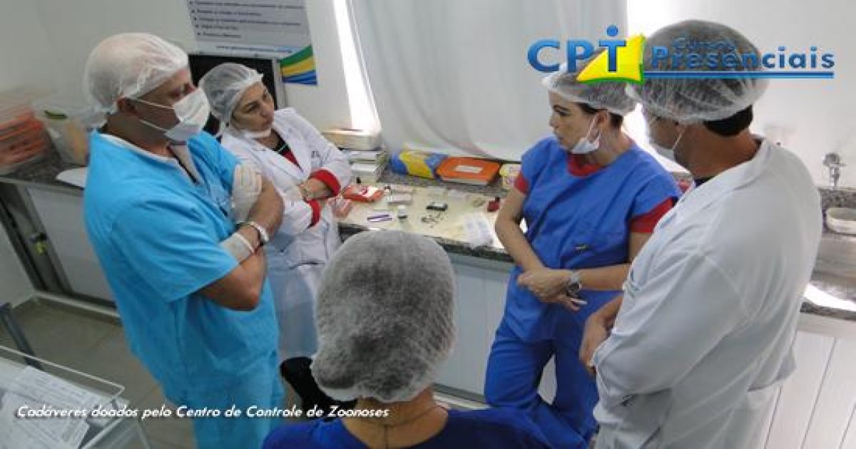 24º Curso de Odontologia em Pequenos Animais 17-07-2014