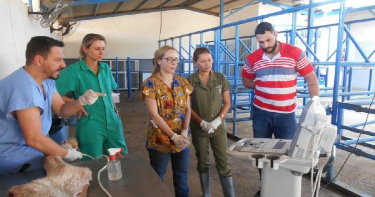 25º Curso de Diagnóstico de Claudicação em Equinos 20-07-2018