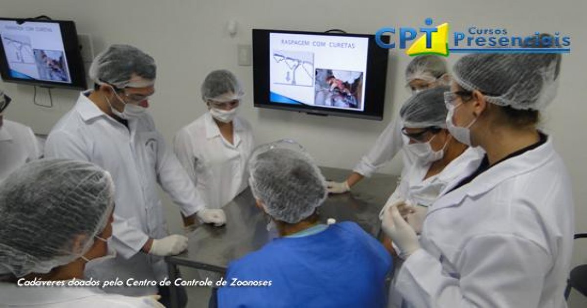 25º Curso de Odontologia em Pequenos Animais 19-10-2014