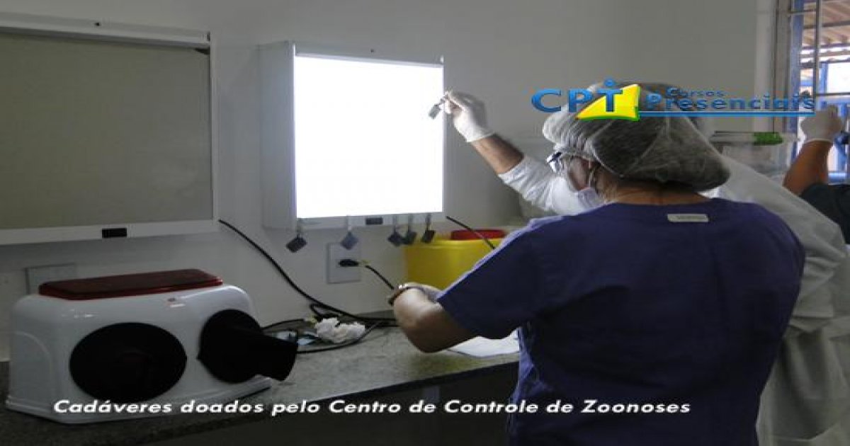 29º Curso de Odontologia em Pequenos Animais 18-10-15