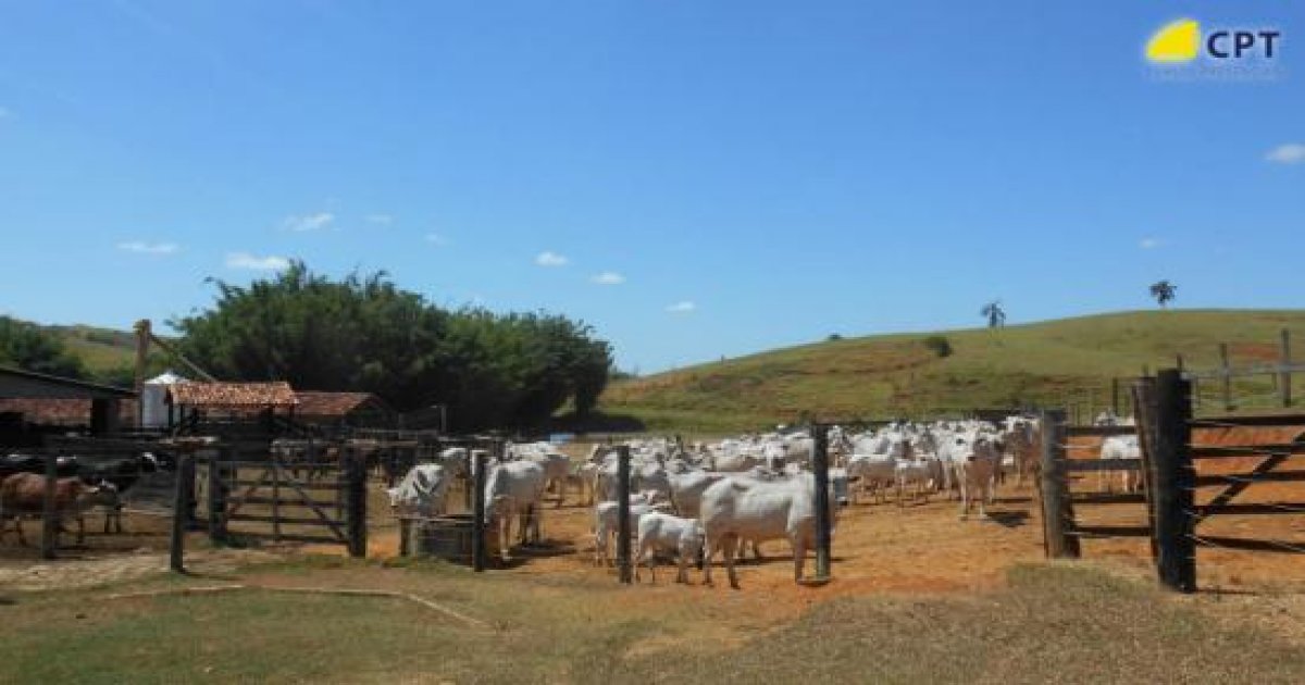 29º Curso de Primeiros Socorros em Bovinos 31-01-19