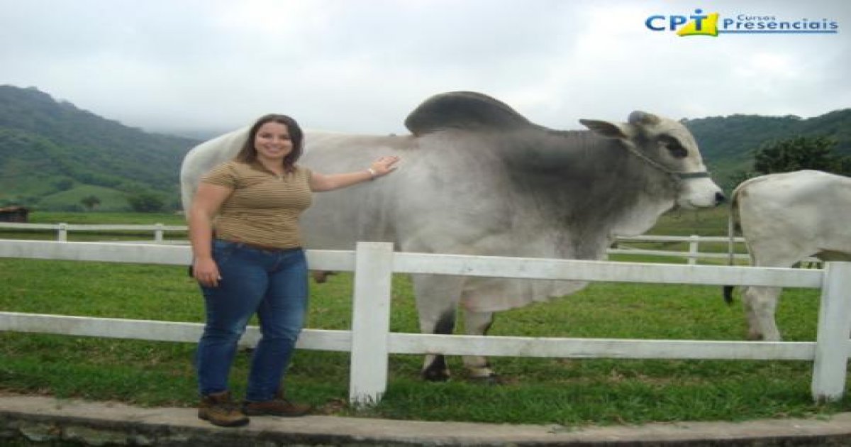 2º Curso de Inseminação Artificial e IATF em Bovinos - Maio 2010