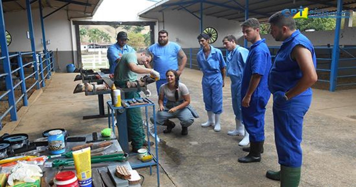 34º Curso de Casqueamento Preventivo e Correção de Aprumos em Bovinos 25-10-17