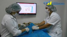 34º Curso de Cirurgias em Pequenos Animais 29-07-16