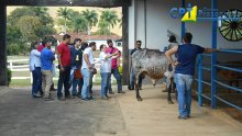 36º Curso de Formulação de Dietas e Rações para Bovinos 18-07-17