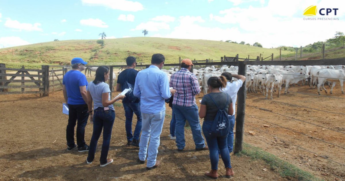 36º Curso de Manejo Nutricional de Gado de Corte (Alimentos e Alimentação) 25-01-19