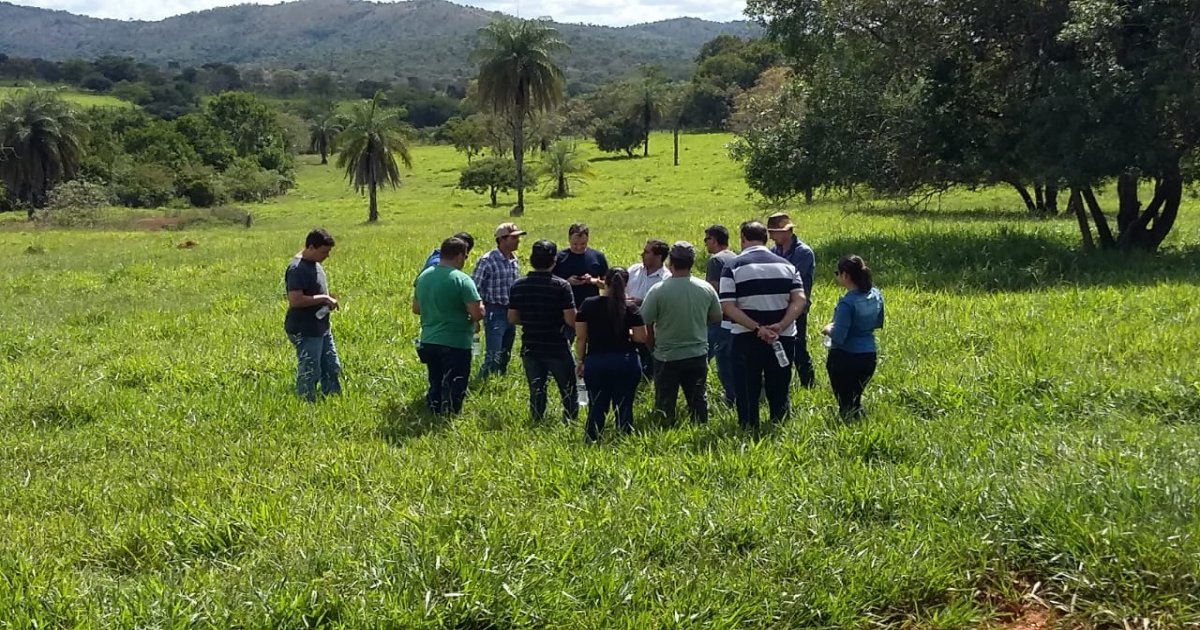 38º Curso de Manejo Nutricional de Gado de Corte - Alimentos e Alimentação (Local Belo Horizonte) 28-04-19