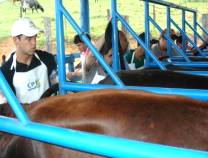 4º Curso de Inseminação Artificial em Bovinos - abril de 2009