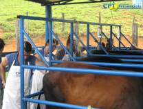 7º Curso de Transferência de Embriões em Bovinos - Novembro 2009