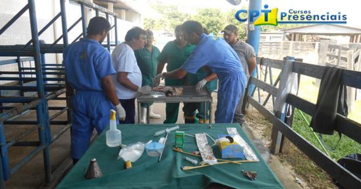 71º Curso de Transferência de Embriões em Bovinos 06-04-16