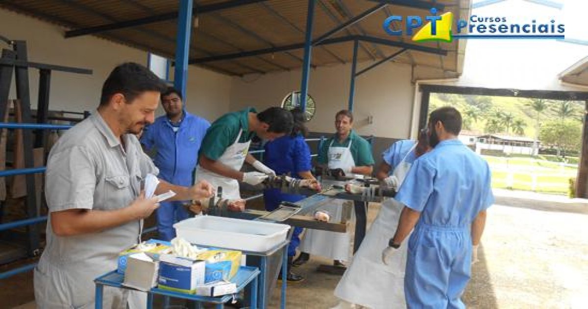 93º Curso de Cirurgias em Bovinos a Campo 18-11-2016