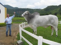 Visita da Diretoria da Semex na Fazenda Escola CPT