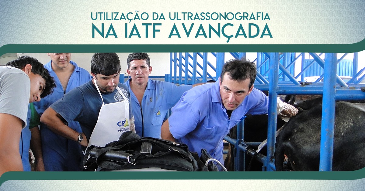 Medicina tempo de curso