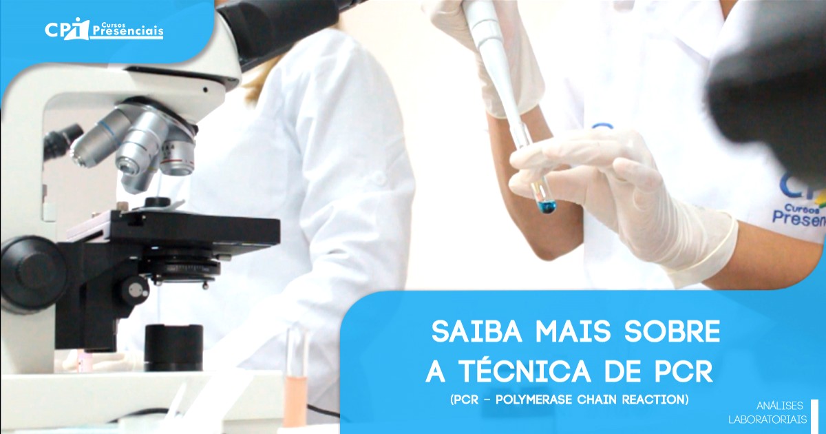 O gato no lodo de Calais mas não tem vermes