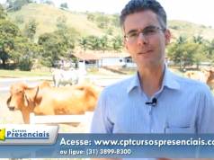 Avaliação dos aprumos dos animais produtores de leite