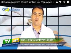 Curso de Animais Silvestres e Não-Convencionais na Clínica de Pequenos Animais