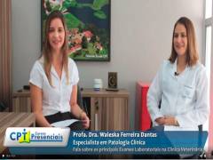 Entrevista Exclusiva sobre Principais Exames Laboratoriais na Clínica Veterinária