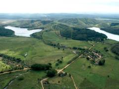 Fazenda Brasília e o Gir Leitero