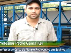 Importância das práticas de manejo para a reprodução dos equinos